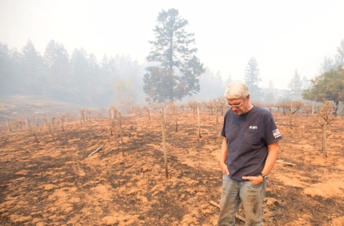山火燒毀世界最主要的優質釀酒葡萄產區。 (圖：AFP)