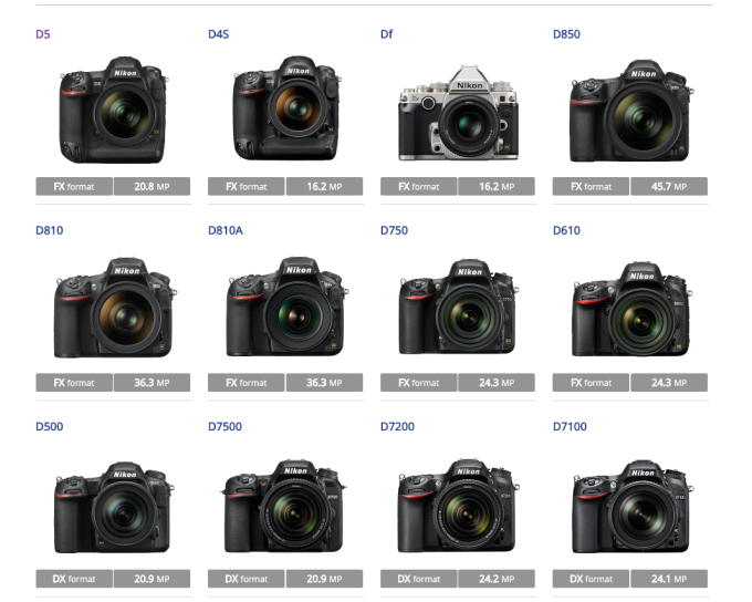 Nikon相機選項 (圖:官網)