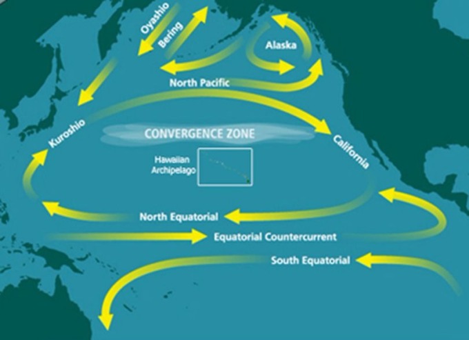 海流在北太平洋環流螺旋向內，成了廢棄物聚集的輻合帶。 （圖：維基百科）