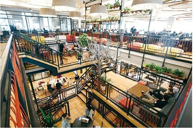 WeWork總部本身也是一棟共享空間，還設有瑜伽區、圖書室、咖啡吧。