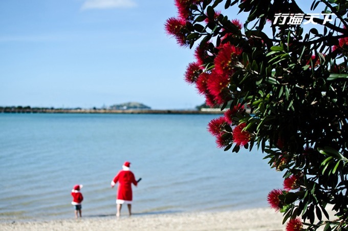 在南半球的紐西蘭，正迎來一年最美好的夏日季節，陽光沙灘比基尼的聖誕氣氛正點燃，過一次不一樣的夏日狂歡耶誕節。