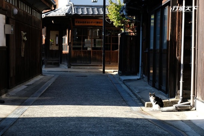 老舊街道中配上曬太陽的貓，超有fu。