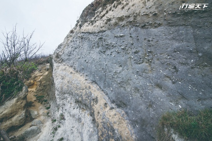 岩層中微微露出的貝化石已存在數百萬年之久。