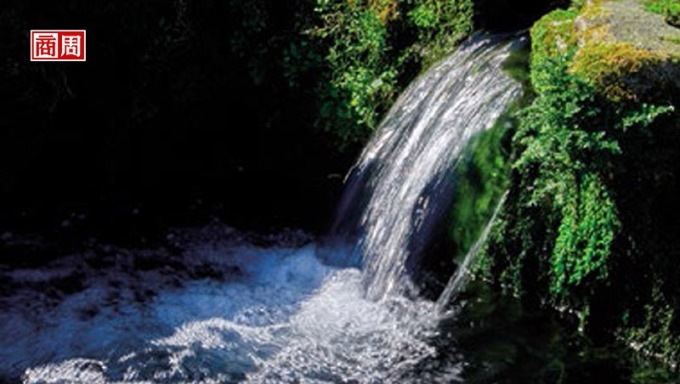 來自松鶴一溪的天然水源，純淨的水質最適合鱘龍魚生長。(攝影者．王文廷)