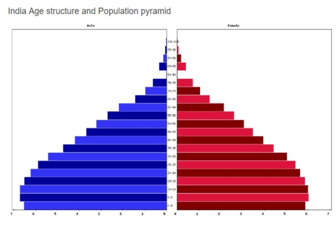 印度人口結構 (來源: livepopulation)