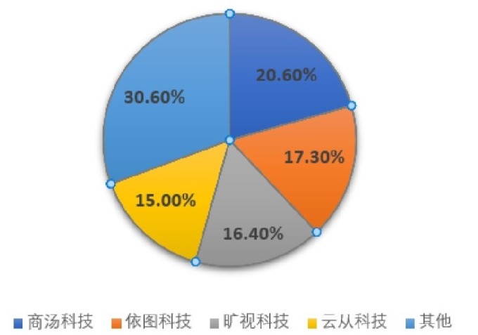 (資料來源:IDC) 2017年中國電腦視覺市場比重結構