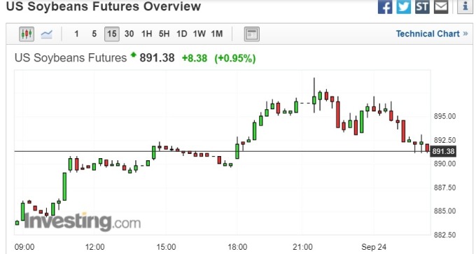 截稿前,黃豆期貨 15 分鐘走勢圖。(圖片:investing)