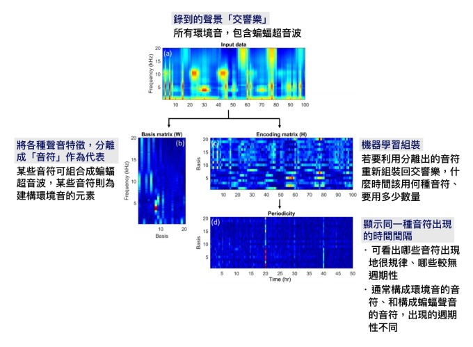 PC-NMF 技術、與聲音頻譜圖示意。 圖片來源│T.-H. Lin, S.-H. Fang, and Y, Tsao, “Improving Biodiversity Assessment via Unsupervised Separation of Biological Sounds from Long-duration Recordings,