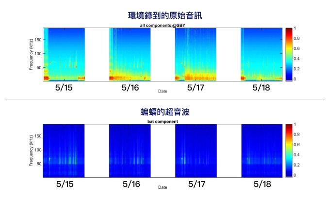 團隊錄到的原始音訊(上方)、與 PC-NMF 分離出的蝙蝠超音波(下方)。 圖片來源│端木茂甯提供