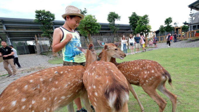 痞客邦2019爆紅竄升字 台中美食、秋冬旅遊補助上榜。(圖：痞客邦提供)