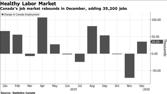 加拿大就業人數變化 (圖:Bloomberg)