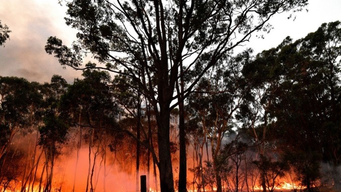 野火燒不停 消費者信心低迷 澳洲企業預計受創(圖:AFP)