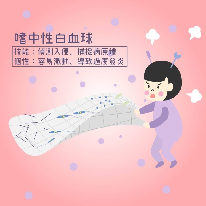 嗜中性白血球,就像住在我們體內的激動戰士。 圖說設計│張語辰