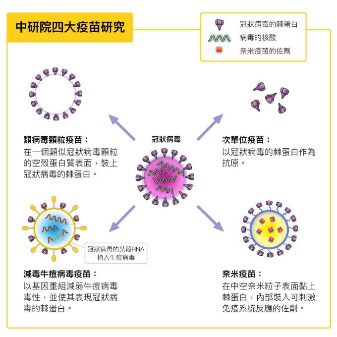 資料來源│胡哲銘 圖說設計│黃曉君、林洵安