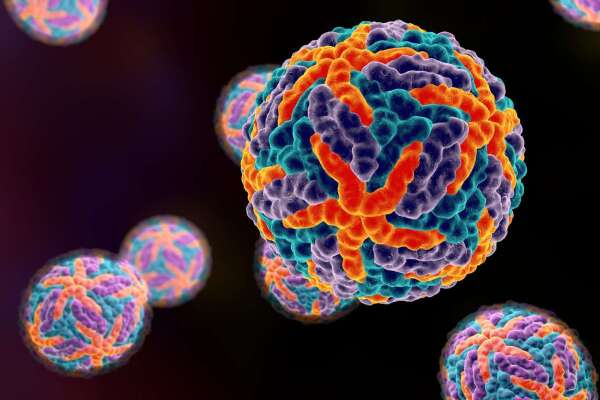 登革病毒，也會引起免疫系統的過度活化。 圖片來源│iStock