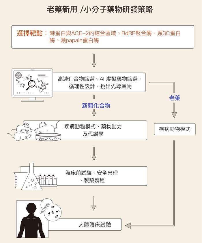 資料來源│謝興邦 圖說重製│林洵安
