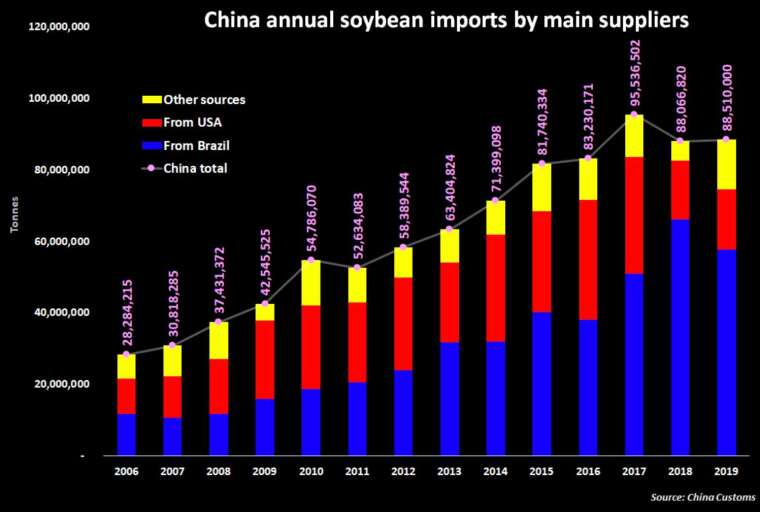 2006-2019 年中國黃豆進口量及主要供應國 (圖：Reuters)