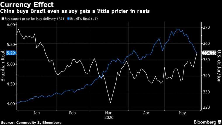 巴西黃豆出口價格 (白) 和巴西里爾匯價 (藍) 走勢圖。(來源: Bloomberg)