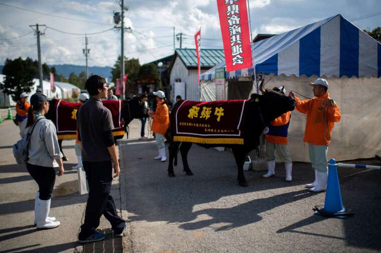 〈鉅亨看世界〉日本和牛行情因疫情大跌 (圖片：AFP)