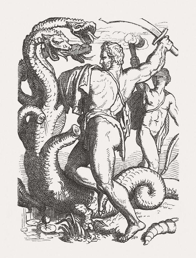 希臘神話九頭蛇的再生能力：砍了一個我，還有千千萬萬個我。 圖片來源│iStock