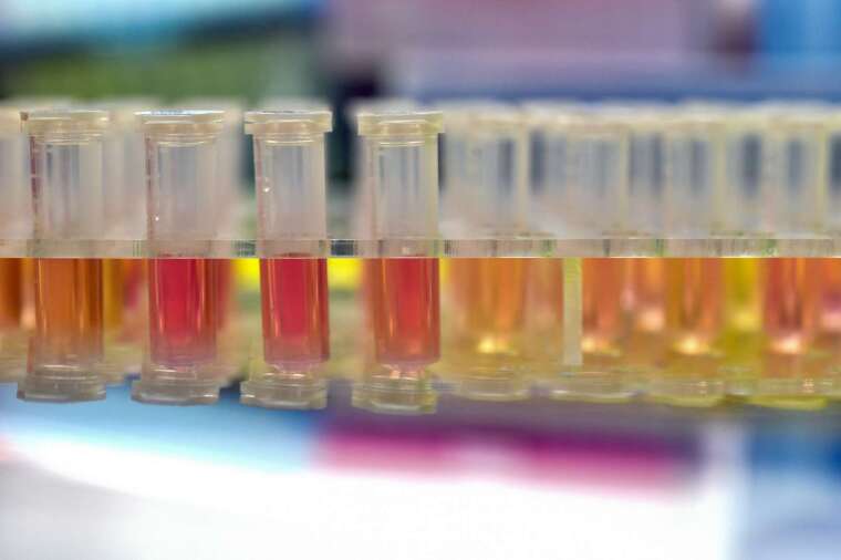 福奇表示，新冠疫苗恐無法提供長效免疫力 (圖片：AFP)
