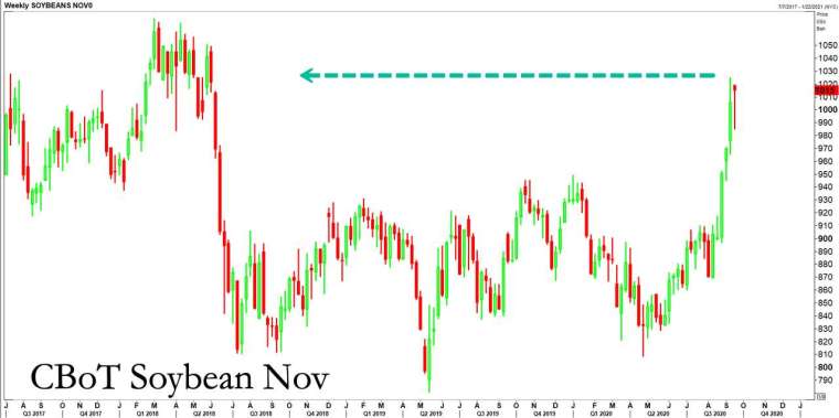 黃豆期貨價格變化 (圖表取自 Zero Hedge)