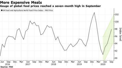 聯合國糧價指數走勢 (圖: Bloomberg)
