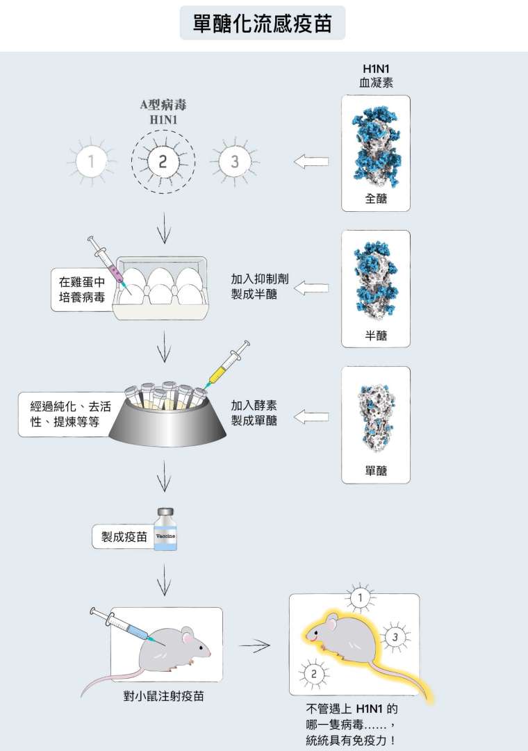 圖│研之有物 (資料來源 │馬徹)