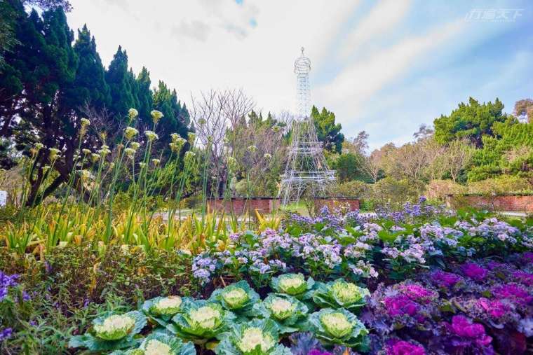台北後花園之稱的花卉試驗中心，一年四季都有不同風情。