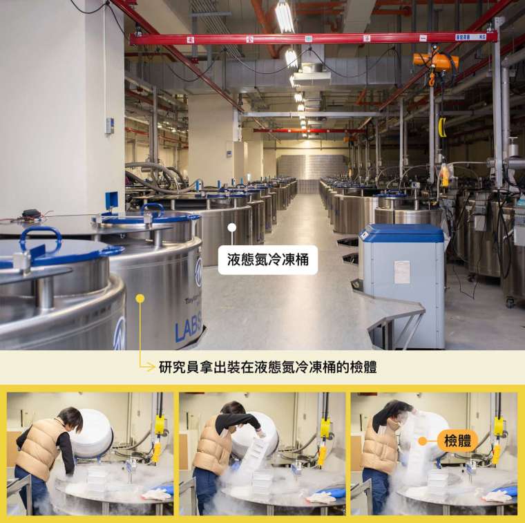 珍貴的檢體裝在冷凍管,部分儲存在攝氏零下 180 度液態氮冷凍桶中,檢體總數量已達三百萬管。 圖│研之有物