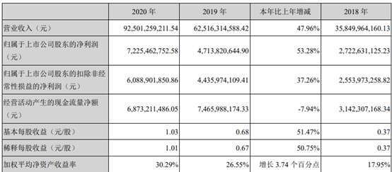 資料來源: 立訊財報