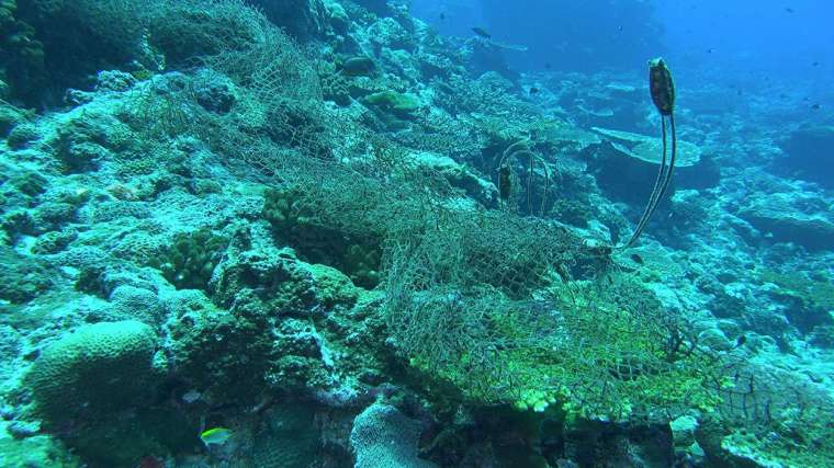 全球海底有 10 萬張以上廢棄漁網，常纏繞在珊瑚礁盤上、纏住許多海洋生物，破壞生態。 圖│鄭明修