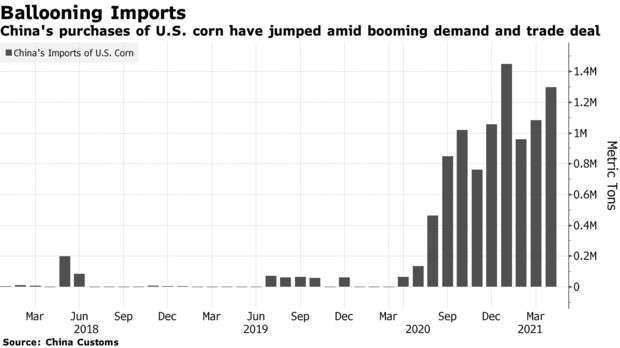 近年中國自美國進口玉米規模 (圖: Bloomberg)