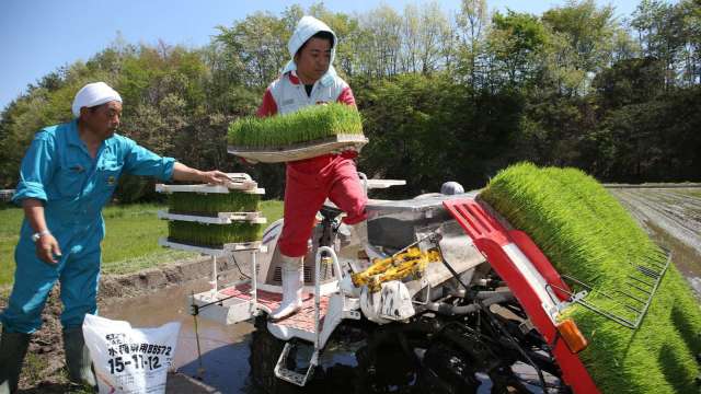 美國FDA准許進口日本福島等地食品 僅剩台韓中港澳未解除禁令 (圖片:AFP)
