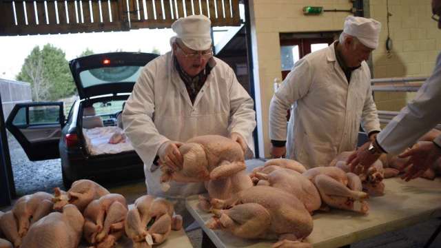 擔心供應鏈中斷 英國消費者搶購冷凍火雞 提前準備聖誕節(圖:AFP)