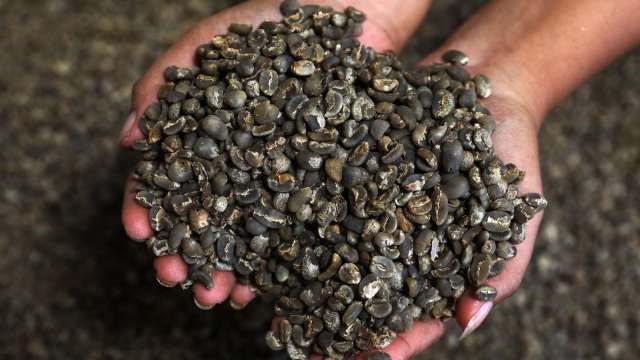 庫存減少供應堪憂 咖啡豆期貨價格上漲(圖片：AFP)