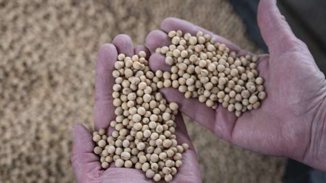 全球黃豆產量有望創高 幫助壓低食品價格(圖:AFP)