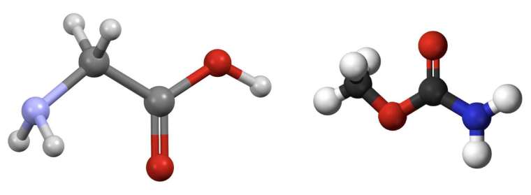 甘胺酸（左）與其同分異構物氨基甲酸甲酯（右）的分子結構示意圖，兩者的原子組成相同，但是鍵結方式不一樣。 圖│研之有物（資料來源│Wikimedia Commons）