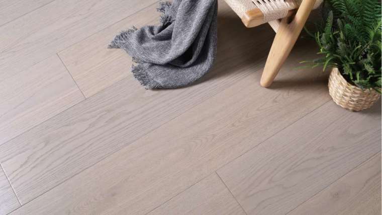 KD 寬幅木地板長 243cm、寬 23cm，鋪設後接縫較少，更利於清潔。(圖：科定企業提供)