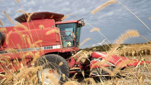 〈商品報價〉小麥連五日漲停 飆上14年新高 。(圖:AFP)