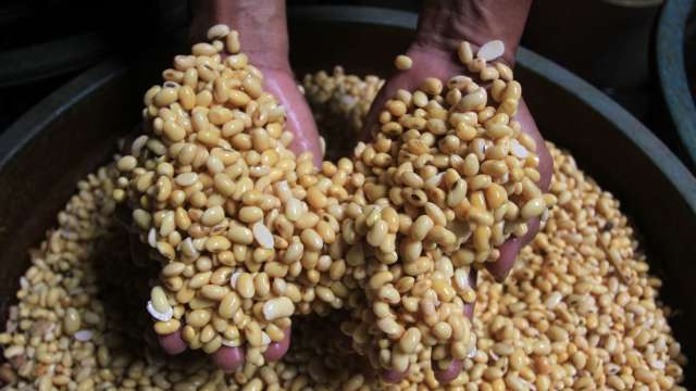 阿根廷暫停黃豆商品出口 全球行情恐進一步上揚 (圖片：AFP)