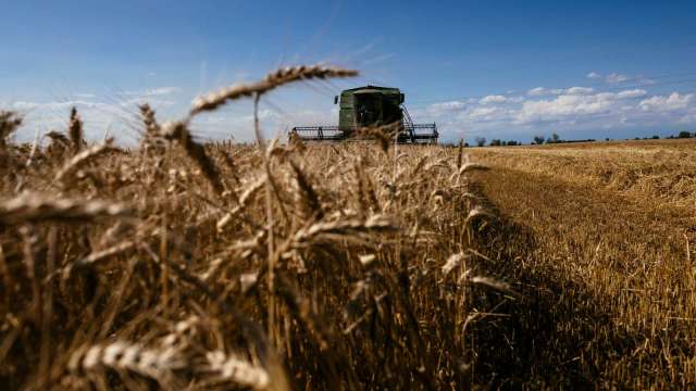世界銀行：俄烏戰爭導致糧食短缺 也將衝擊全球貿易復甦(圖片：AFP)
