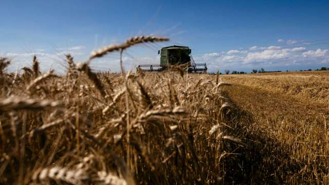 俄烏戰爭持續 加劇全球糧食供應短缺憂慮(圖片：AFP)