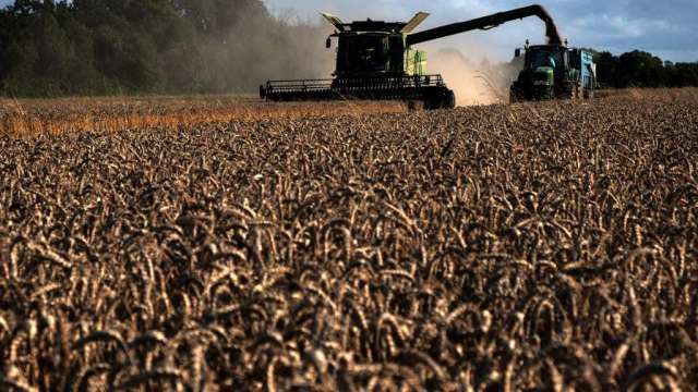 美國供應疑慮加俄烏出口障礙 小麥價格持續飆高(圖:AFP)