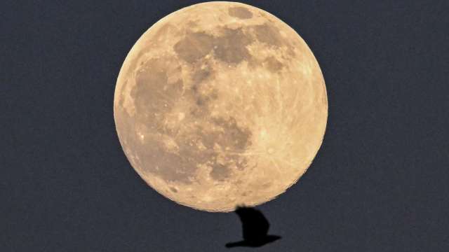 幣圈大多頭：這可能是比特幣「奔向月球」的時間 (圖片：AFP)