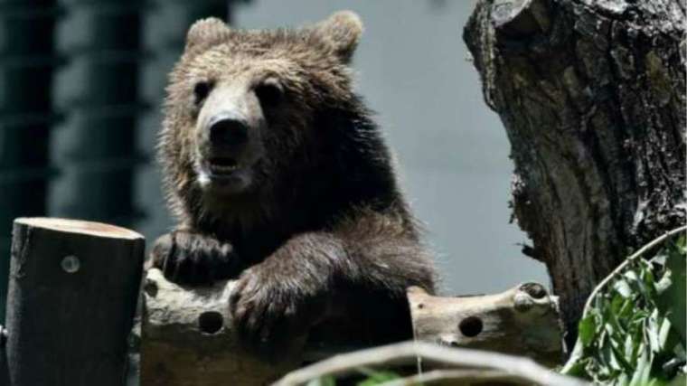 摩根士丹利警告，標普指數可能很快就會陷入熊市 (圖片：AFP)