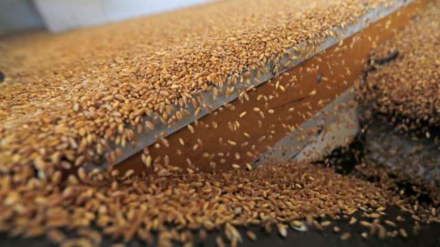 〈商品報價〉良率創33年同期新低 小麥期貨強彈逾2%。(圖:AFP)