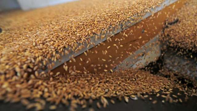 〈商品報價〉印度擬限制出口 小麥期貨跳漲3%。(圖:AFP)