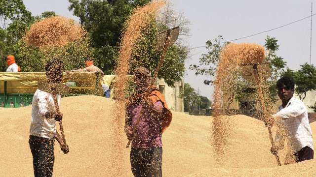 糧食保護主義升高 印度宣布禁止小麥出口且立即生效 (圖：AFP)