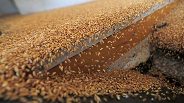 〈商品報價〉印度禁出口 小麥期貨直奔漲停作收。(圖:AFP)